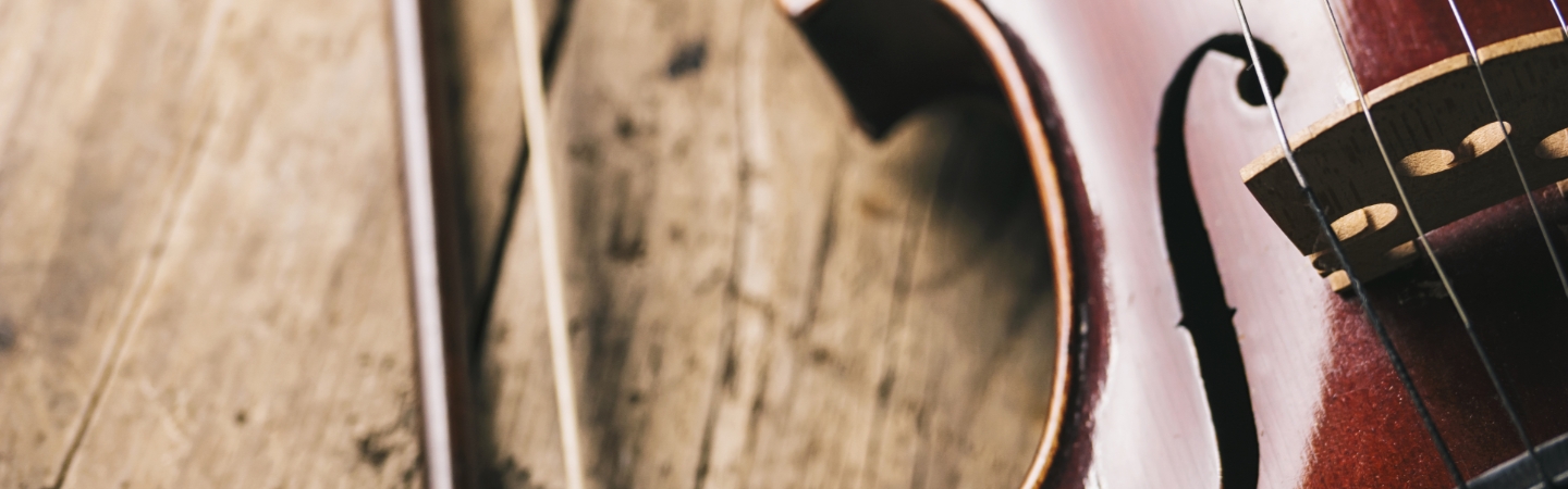 HP Banner 2